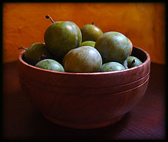 photo "Prunes 4"