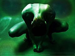 photo "Frog"