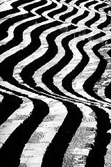 фото "Curves # 2"