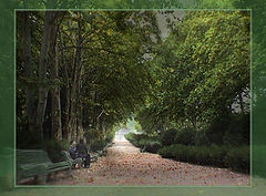 photo "Life steps and ... V2.0 (Please make a comment)"