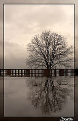 photo "Autumn"