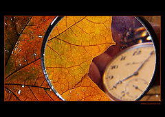 photo "8:10"