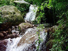 photo "Heaven"