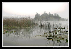 фото "Foggy lake 4237"