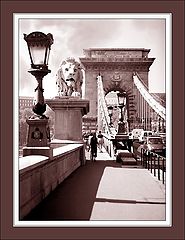 photo "THE BRIDGES OF BUDAPEST 5"
