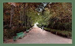 photo "From Summer into Autumnt (Please make a comment)"