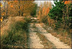 photo "Сountry-track"