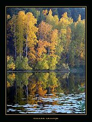 фото "осенняя палитра"