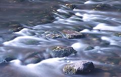 фото "+++"