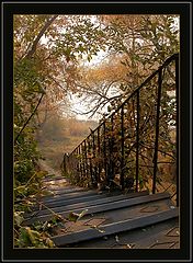 фото "old iron stairway"