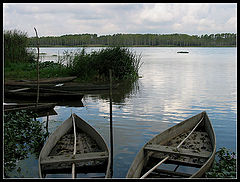 фото "Calm moments"
