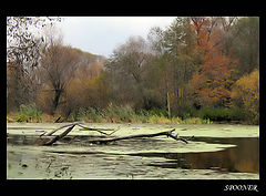 photo "*****"