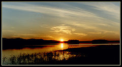 photo "***"