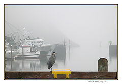 photo "Stuck in port"