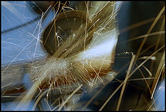 photo "***"