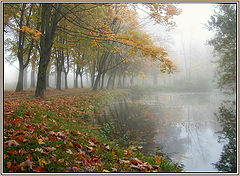 photo "Autumn on a background of a fog"