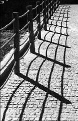 photo "The shadow"