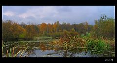 photo "*****"