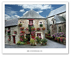 фото "malestoit"