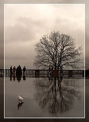 photo "Autumn"
