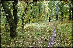 фото "Осенний этюд"