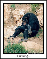 фото "Thinking"