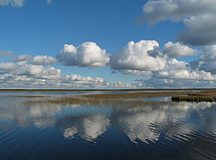 photo "October in Razliv"