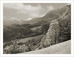 фото "Autumn 3D"