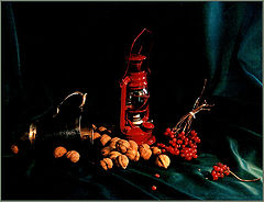 photo "Cup & Nuts"