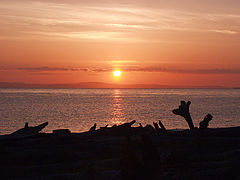 фото "Woodendog sunset"