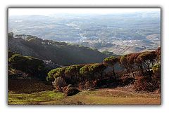фото "Down hill"