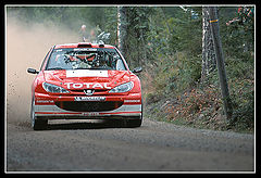 photo "WRC"