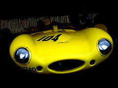 photo "jaguar caged"