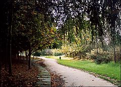 photo "Autumm colors"