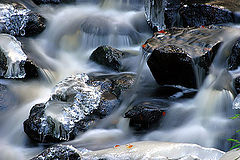 фото "King frost is here."