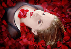 photo "You`re so like a rose"