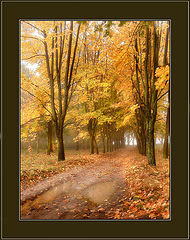 photo "Memoirs on autumn"