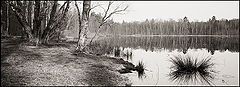 фото "Calm autumn"