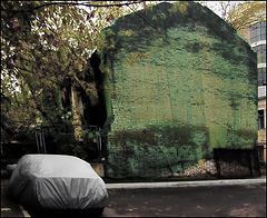 photo "Covered..."