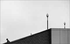 фото "Этюд с фонарями. (1)"