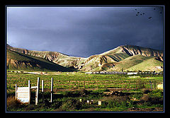 photo "Before a thunder-storm"