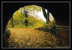 photo "exit in an autumn"
