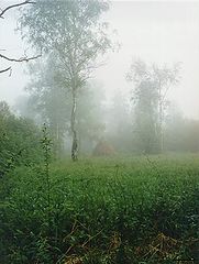 фото "Туманное утро"