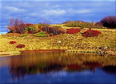photo "Oct"