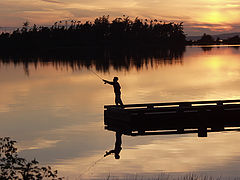 фото "Last Cast"