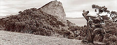 photo "On Golicin to a track. New Light. Crimea."