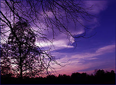 фото "Scratching the Blues"