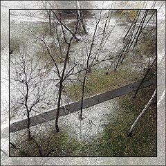 photo "Between autumn and winter"