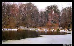 photo "The first snow"