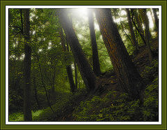 photo "Last morning of summer."